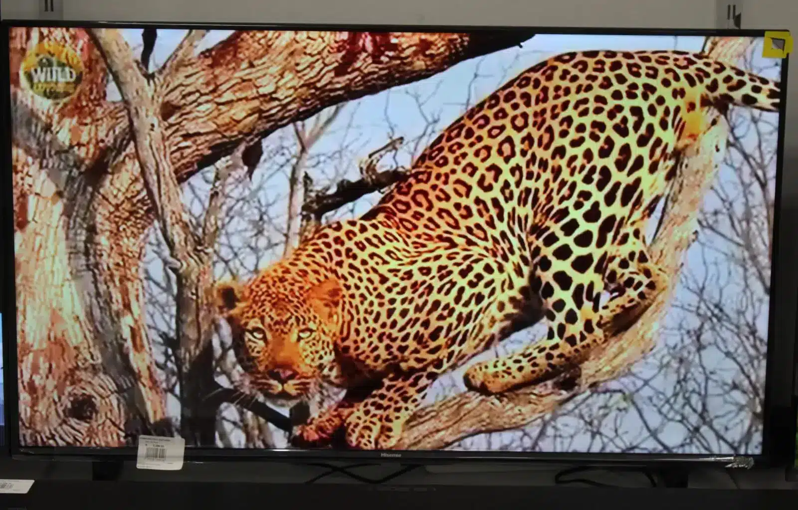 Hisense 43" Smart TV